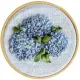 Hortensia_Blå