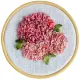 Hortensia_Rosa